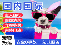 滋润航空空运国际宠物托运 【国